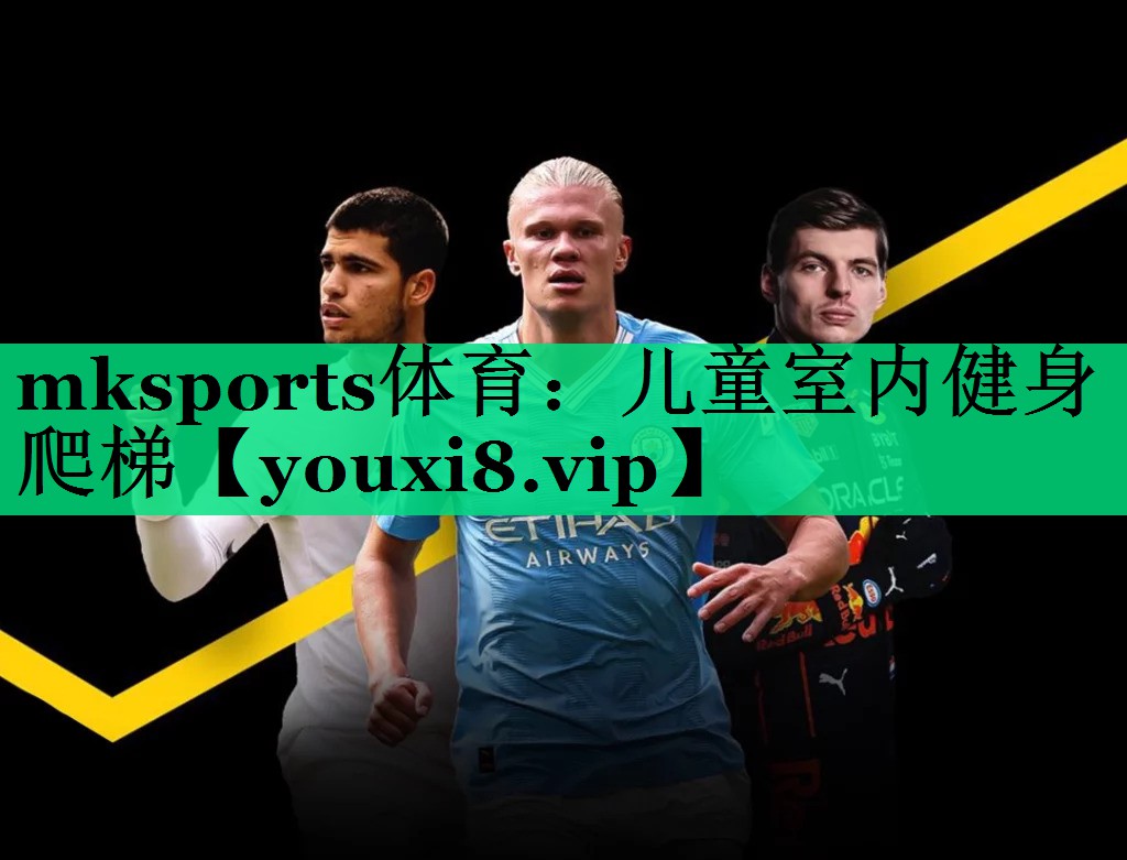 mksports体育：儿童室内健身爬梯