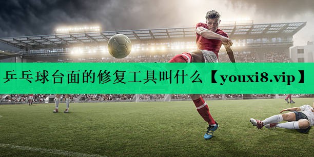 乒乓球台面的修复工具叫什么
